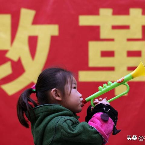养老金最新动态，全面改革与增长趋势展望