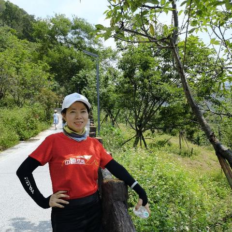 深圳龙岗平湖最新招聘信息概览