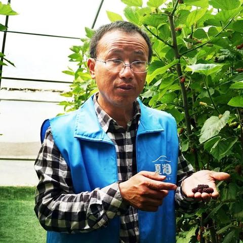 徐州铜山棠张最新规划发布