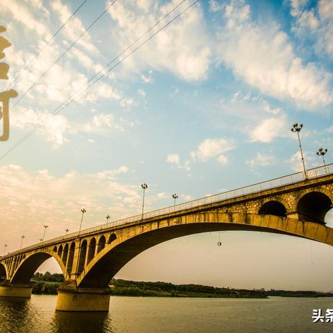 唐河在线招聘信息更新及详情