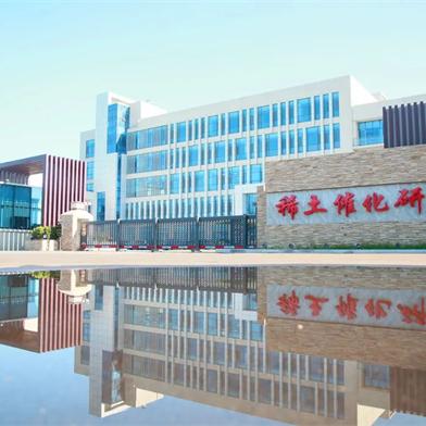 最新手机报码综述，科技无缝融入生活