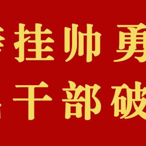 何善锦最新动态消息曝光