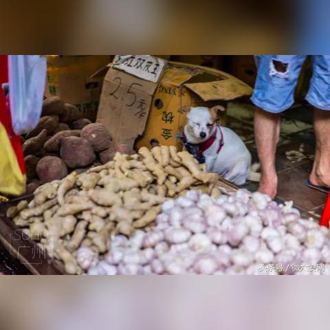 揭秘 第10页