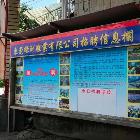东莞厚街最新招聘信息汇总解析