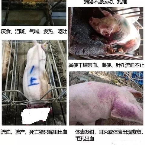 最新动态报道 第12页