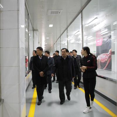 雏鹰农牧股票最新消息深度分析