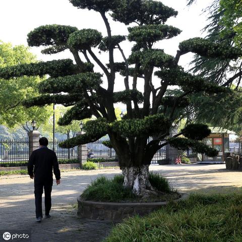 北斗云吉祥最新动态深度解读
