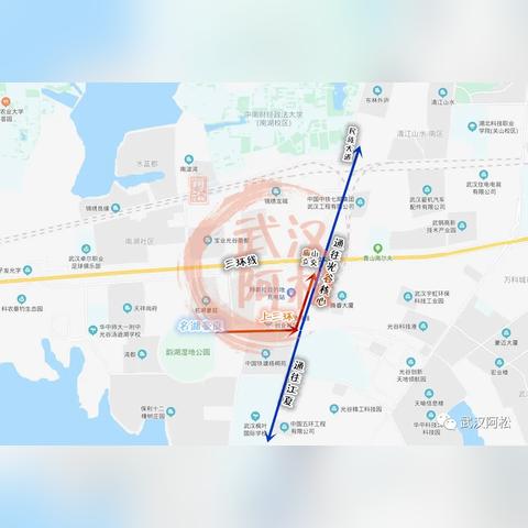 光谷大道高架建设最新进展深度解读