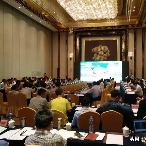 瑞梅铁路瑞金最新动态深度解析