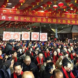 山西祁县梨价格走势分析
