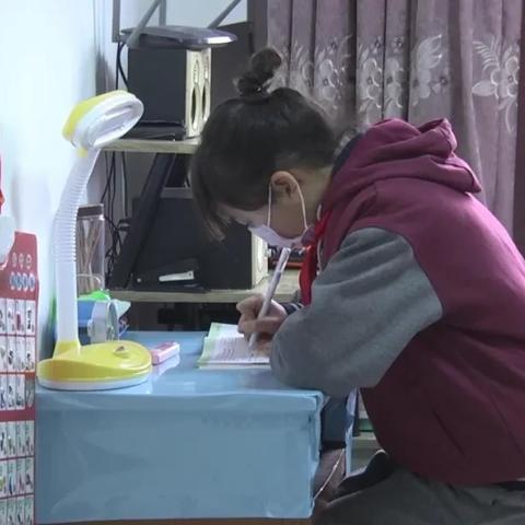 浏河最新新闻动态报道速递