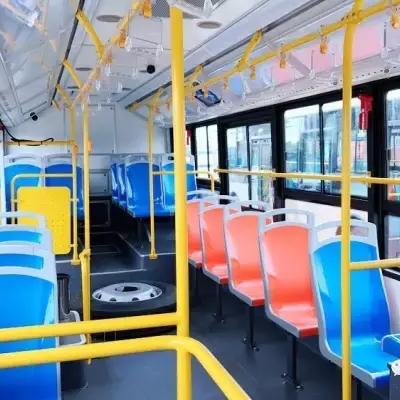 溱潼最新动态报道