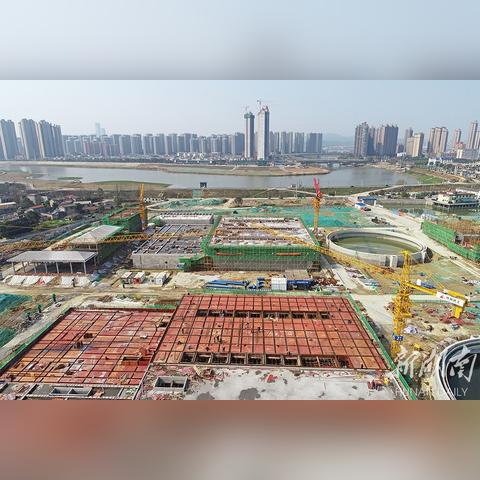 苏托垸最新动态与开福区未来展望