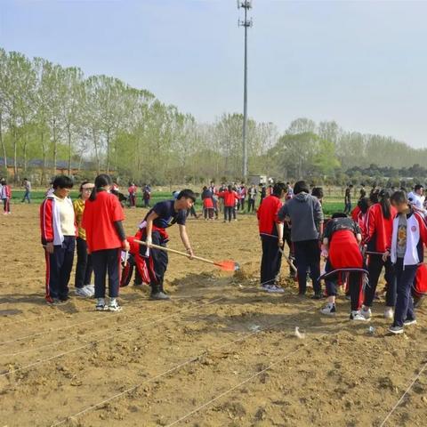 广巴铁路改造最新图解解析