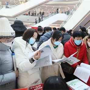 禹城在线招聘信息全面解析