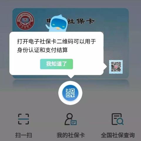 老年社保最新动态全面解读