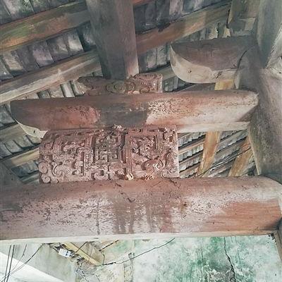 海口灵山动态更新