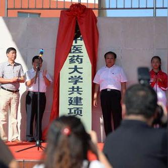 良乡镇官道规划更新进展