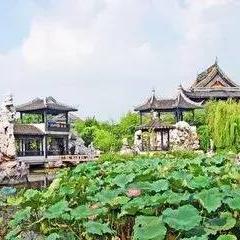 西湖一品最新动态深度解析