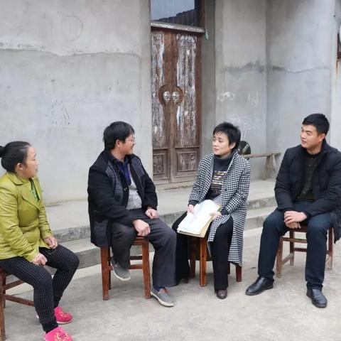 三重镇最新发展动态概览