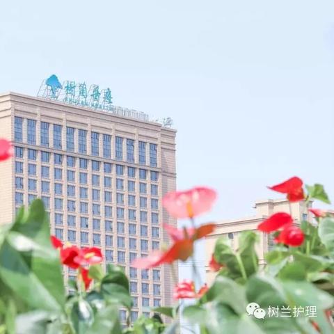 杭州最新招聘信息与求职指南
