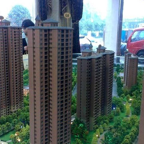 善化国际最新动态报道