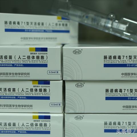 全面解读分析