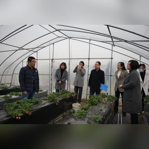 宜兴芳桥最新招聘信息全面解析