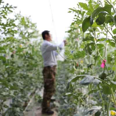 泗水超市招聘启事，最新职位信息速递