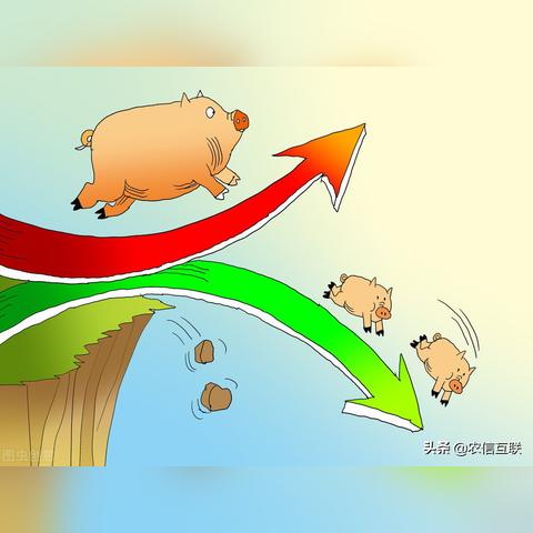河北玉米最新价格走势分析