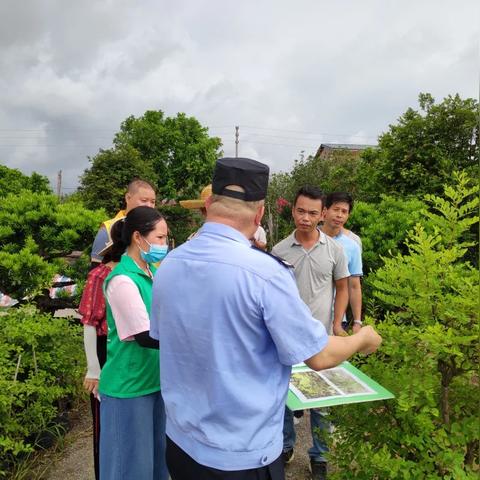 中山市三角镇最新招聘信息全面解析