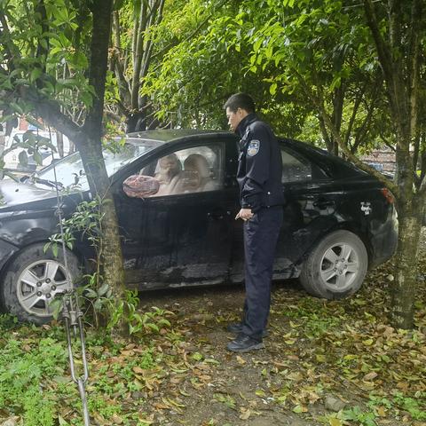 交通肇事逃逸行为最新法律规定解读