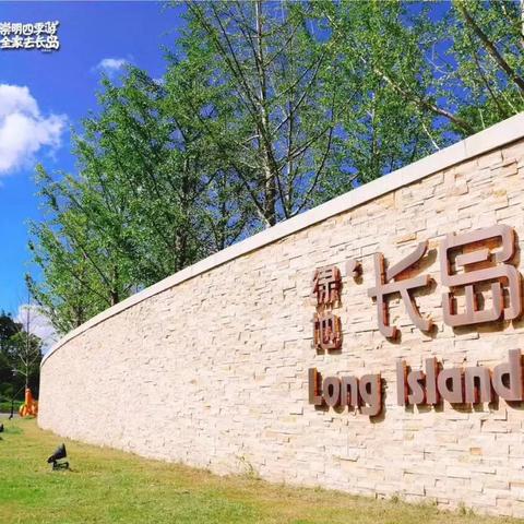 沪崇高速S7建设最新进展报告简报