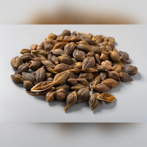 杜仲最新市场动态分析
