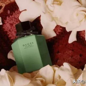 Flora视频最新动态，数字时代的绿色生态创新引领