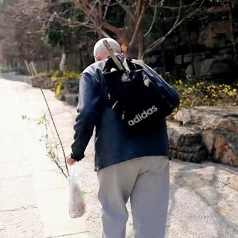 传奇族长，深度剖析揭秘