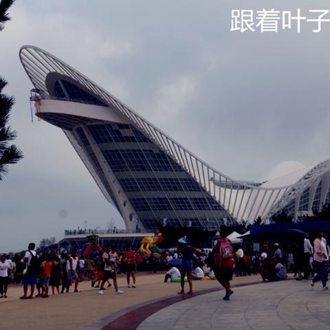 黄岛车祸真相揭秘，撞击背后的故事