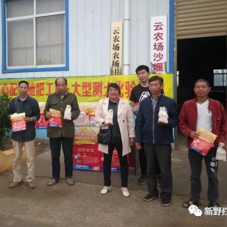 新野蔬菜价格走势及分析