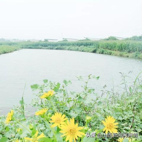 趋势展望