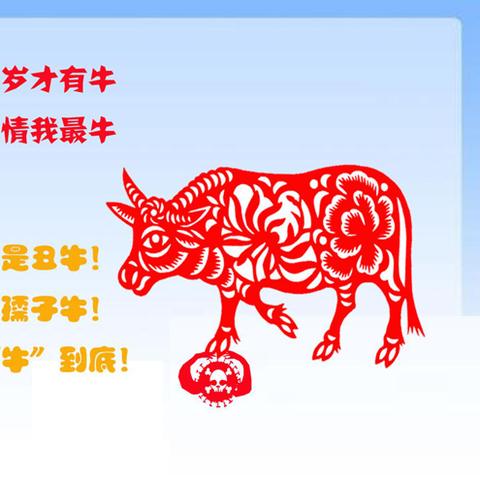 宝鸡丧葬礼仪新风尚，传统与现代融合的视频展示