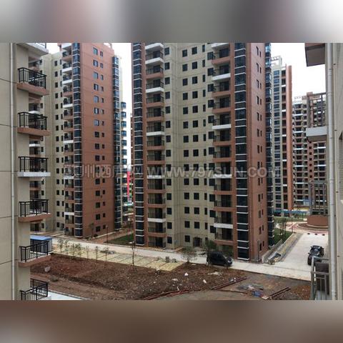 西域华城最新动态深度解读报告