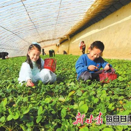 嘉峪关最新新闻动态更新