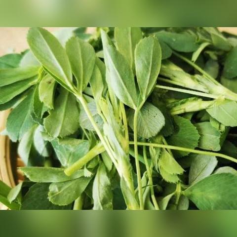 山东省盐改最新文件解读与分析