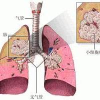 首都机场T3航站楼吸烟区的最新动态