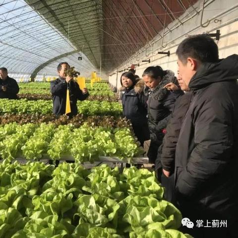 天津市蓟州区新闻速递