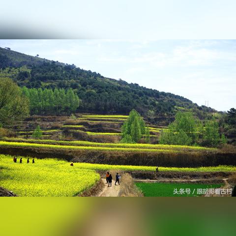 市庄村改造最新进展概览