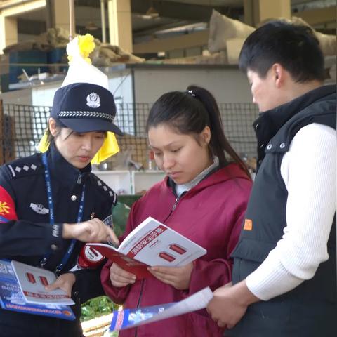 长兴县新农都最新态势深度解读