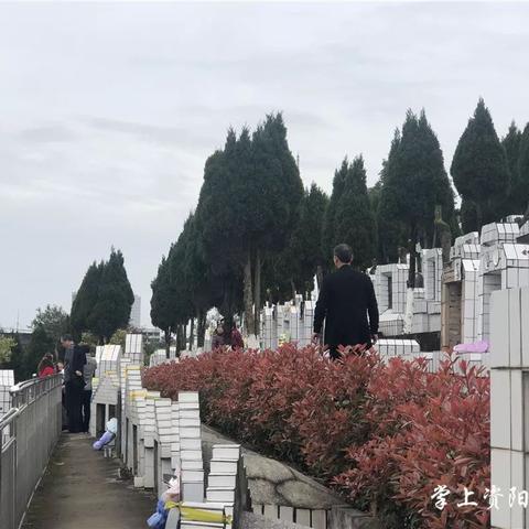 诸城莲花山公墓最新价格表概览