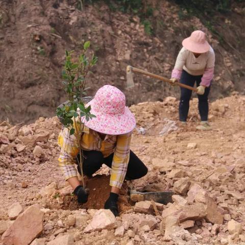 梧州山王拖拉机，农业新时代的动力先锋