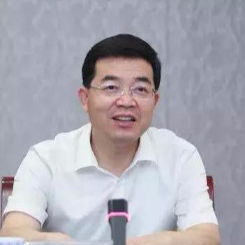 合作化路南延最新动态，深度解读进展消息